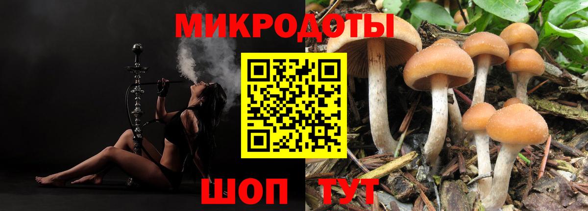 Псилоцибиновые грибы прущие грибы Асино